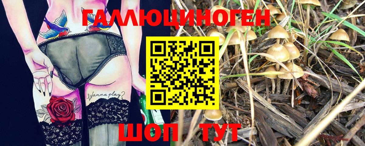 Галлюциногенные грибы прущие грибы  Вход с VPN  Тулун 